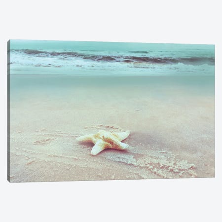 Beach Set Starfish Canvas Print #NAN208} by Nan Canvas Wall Art