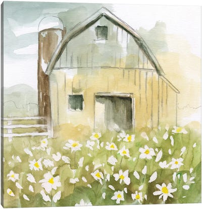 Daisy Barn Canvas Art Print - Watercolor Flowers