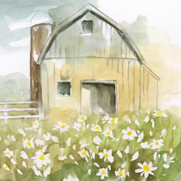 Daisy Barn