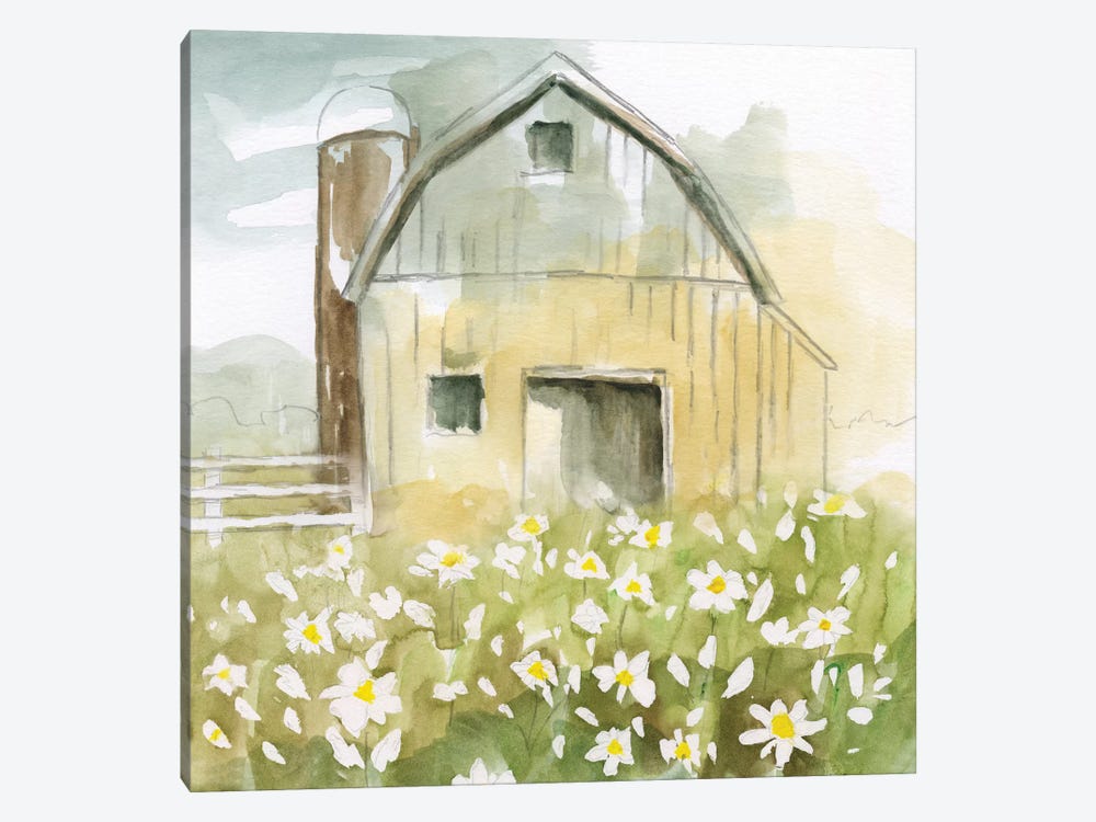Daisy Barn by Nan 1-piece Canvas Print