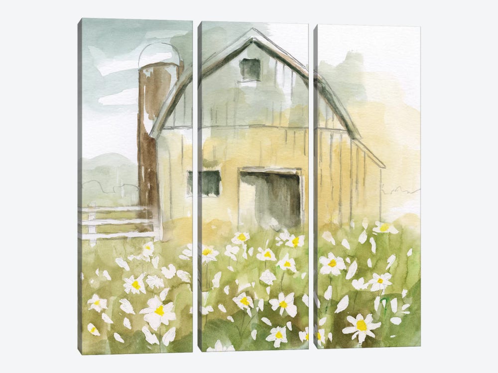 Daisy Barn by Nan 3-piece Canvas Print