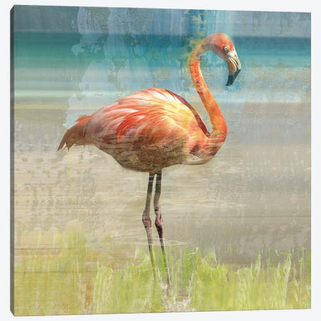 Flamingo Fancy I Canvas Print #NAN219} by Nan Art Print