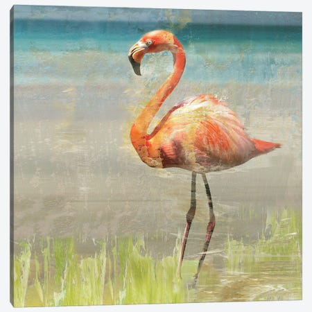 Flamingo Fancy II Canvas Print #NAN220} by Nan Canvas Art