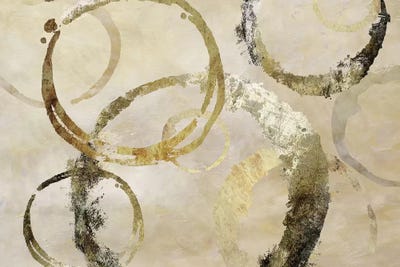 Golden Rings by Nan canvas print