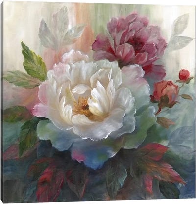 White Roses I Canvas Art Print - Holiday & Seasonal Art