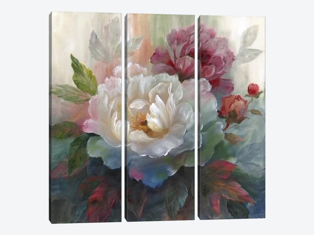 White Roses I by Nan 3-piece Canvas Artwork