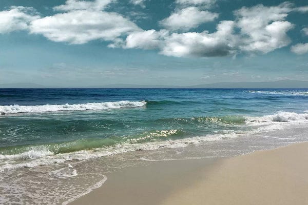 Beach Lover: Majestic Waves by Nan