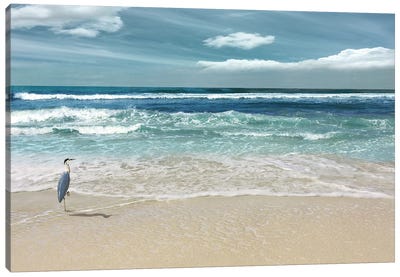 Nature's Symphony Canvas Art Print - Beach Lover