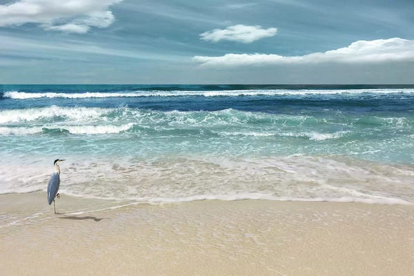 Beach Lover: Nature's Symphony by Nan