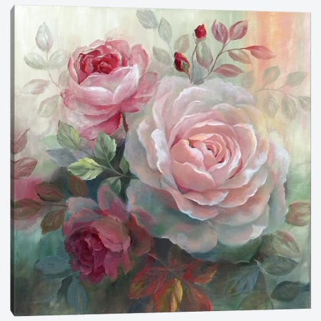 White Roses II Canvas Print #NAN23} by Nan Art Print
