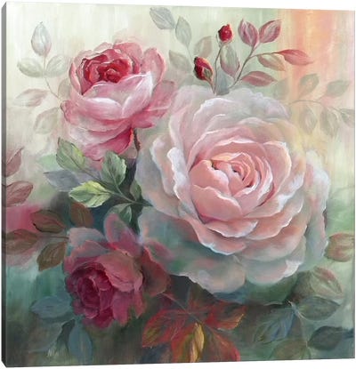 White Roses II Canvas Art Print - Rose Art