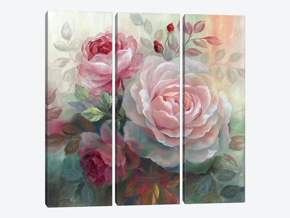 White Roses II by Nan 3-piece Canvas Art Print