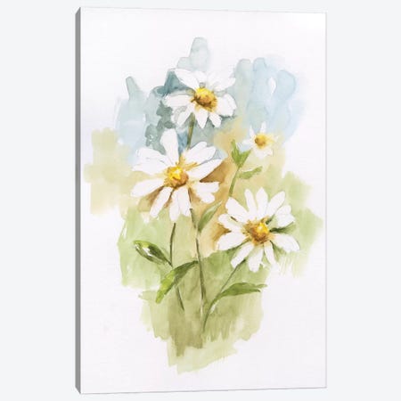 Wild Daisy I Canvas Print #NAN247} by Nan Canvas Print