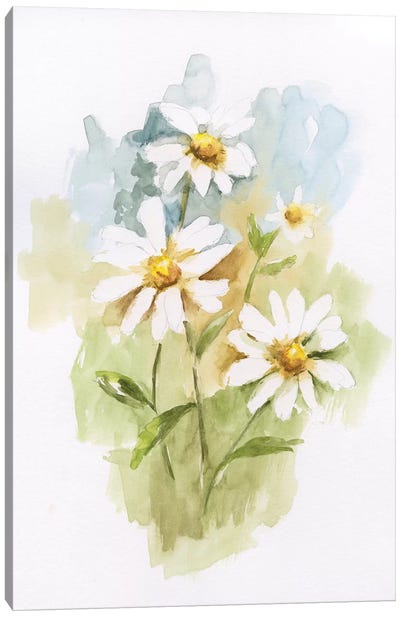 Wild Daisy I Canvas Art Print