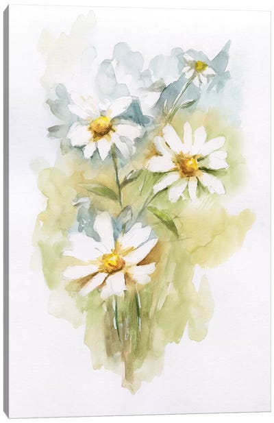 Wild Daisy II Canvas Art Print - Nan