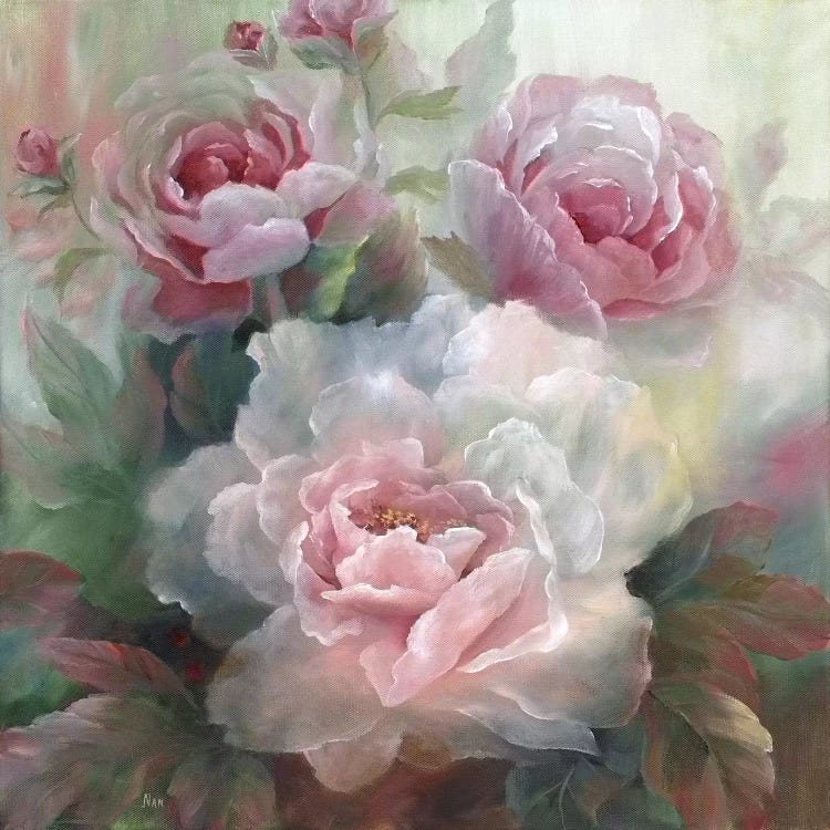 White Roses III by Nan wall art