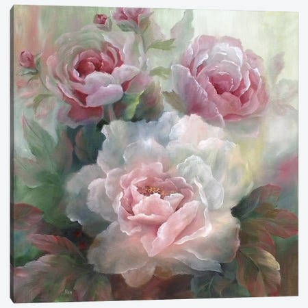 White Roses III Canvas Print #NAN24} by Nan Canvas Wall Art