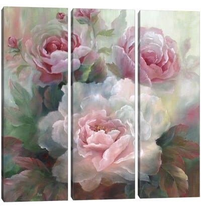 White Roses III Canvas Art Print - 3-Piece Decorative Art