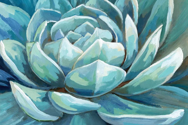 Cerulean Succulent