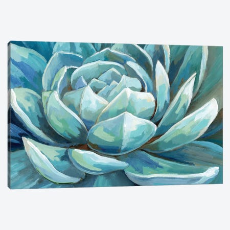Cerulean Succulent Canvas Print #NAN253} by Nan Canvas Art Print