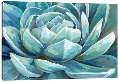 Cerulean Succulent Canvas Art Print - Close-up