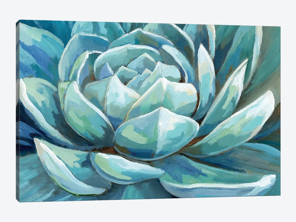 Cerulean Succulent by Nan 1-piece Art Print
