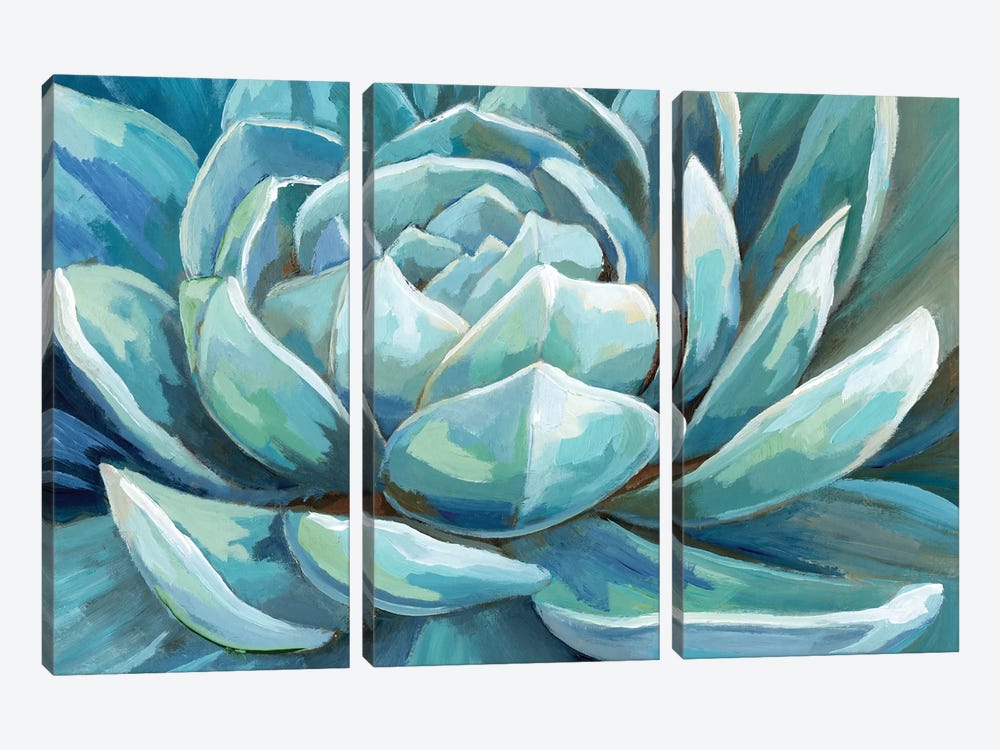 Cerulean Succulent by Nan 3-piece Canvas Art Print