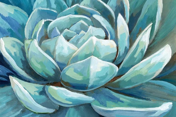 Southwest Décor: Cerulean Succulent by Nan