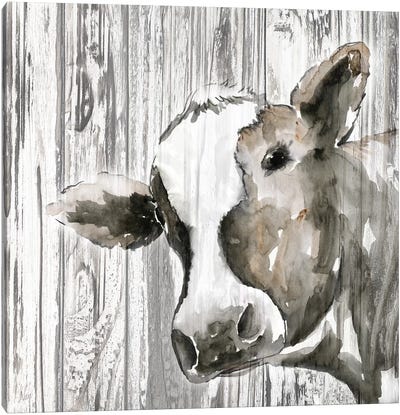 Molly Canvas Art Print - Cow Art