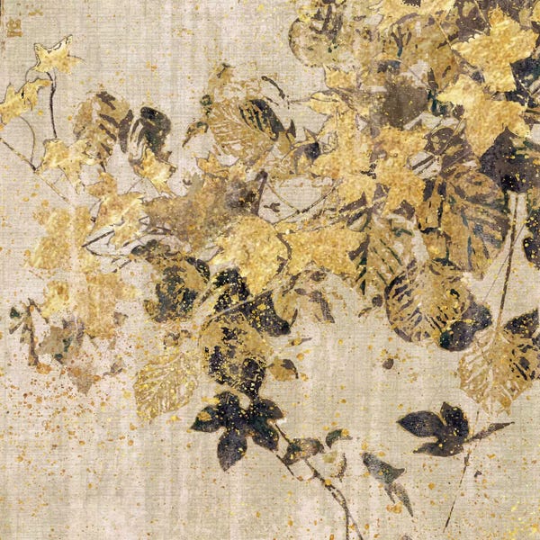 Nan: Bold Ivy by Nan