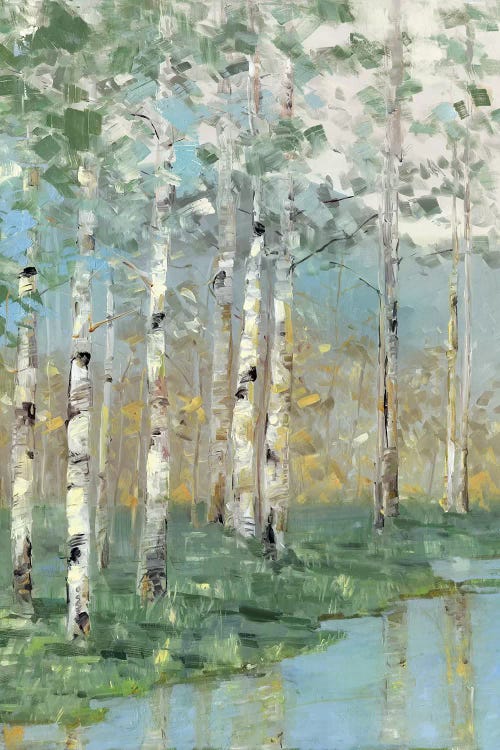 Birch Reflections I