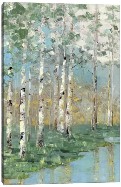 Birch Reflections I Canvas Art Print - Best Selling Abstracts