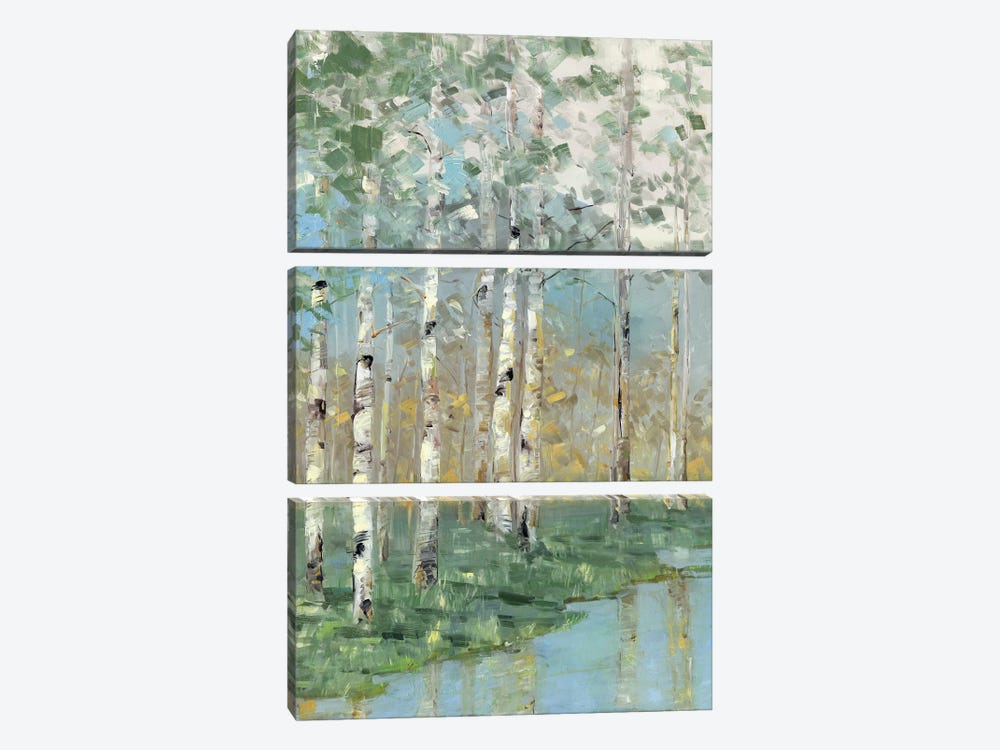 Birch Reflections I by Sally Swatland 3-piece Canvas Artwork