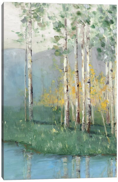 Birch Reflections II Canvas Art Print - Abstract Landscapes Art