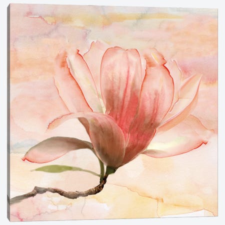 Dreamy Magnolia I Canvas Print #NAN287} by Nan Art Print