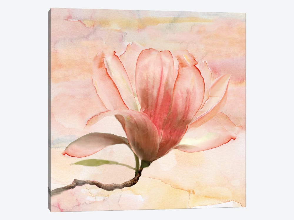 Dreamy Magnolia I by Nan 1-piece Canvas Art
