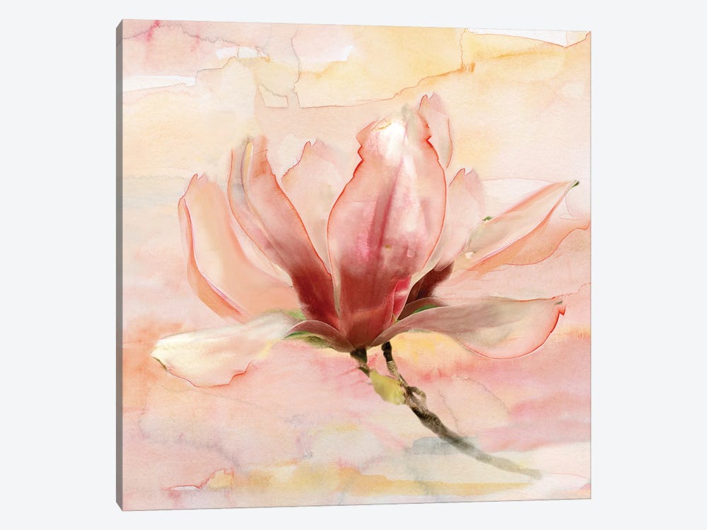 Dreamy Magnolia II 1-piece Art Print