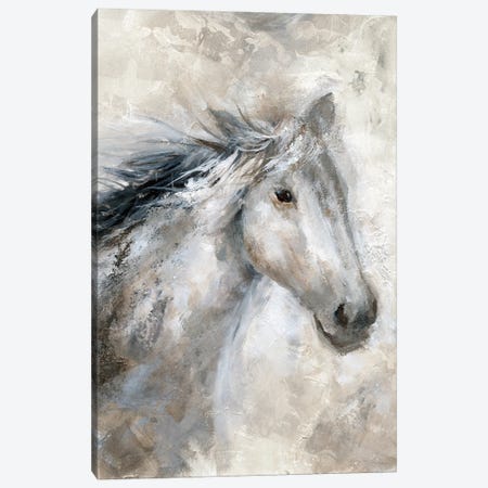 Neutral Horse Canvas Print #NAN298} by Nan Canvas Print