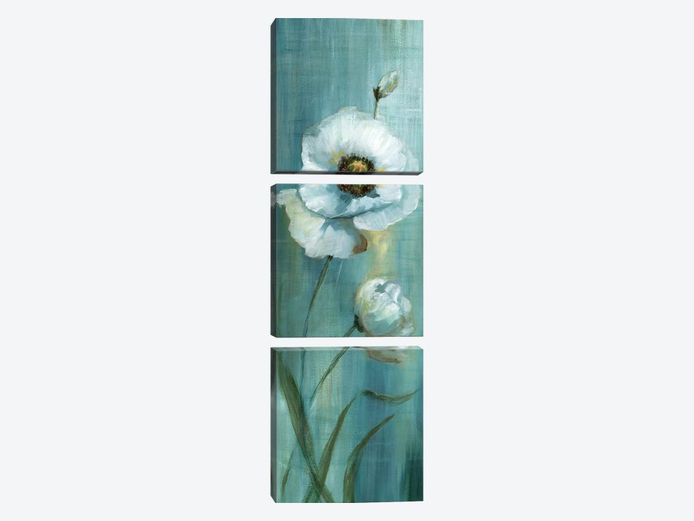 Seabreeze Poppy I by Nan 3-piece Canvas Wall Art