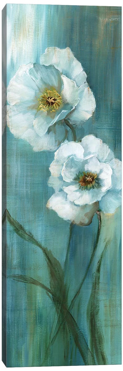 Seabreeze Poppy II Canvas Art Print - Nan