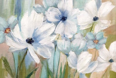 Spring Day by Nan canvas print