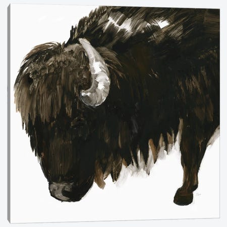 Bison Bull Canvas Print #NAN321} by Nan Canvas Print