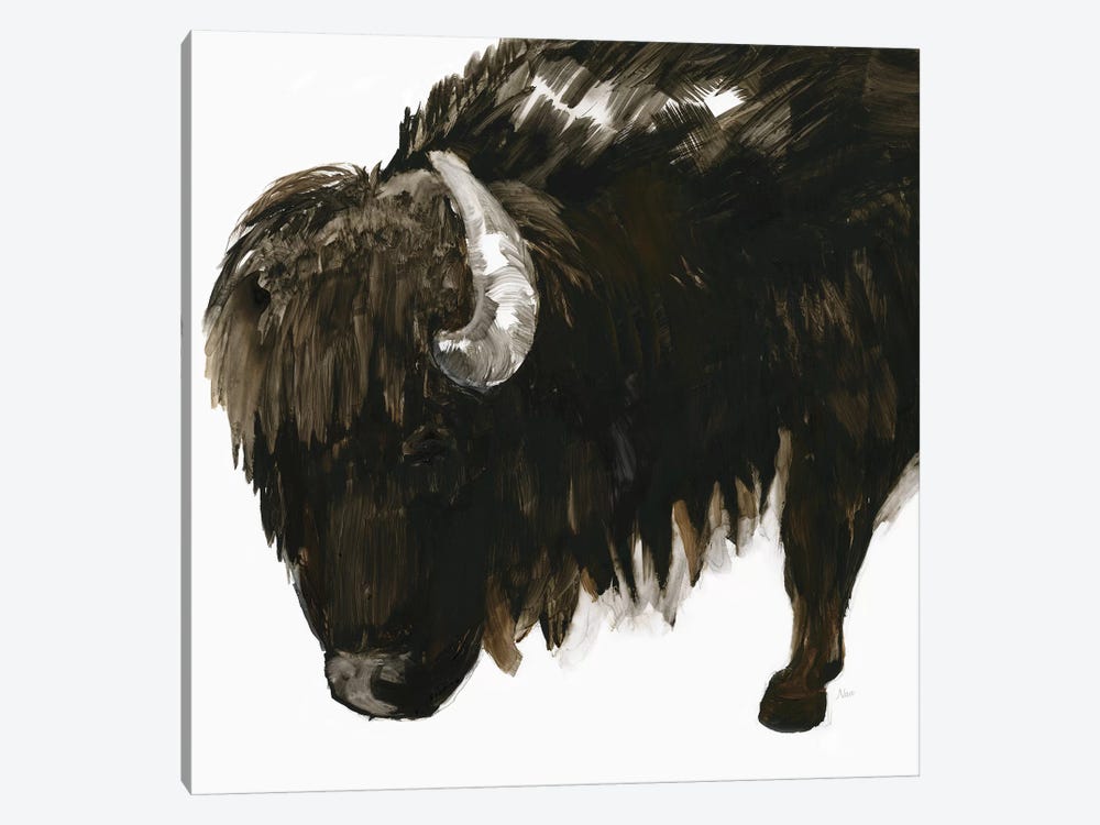 Bison Bull by Nan 1-piece Canvas Print