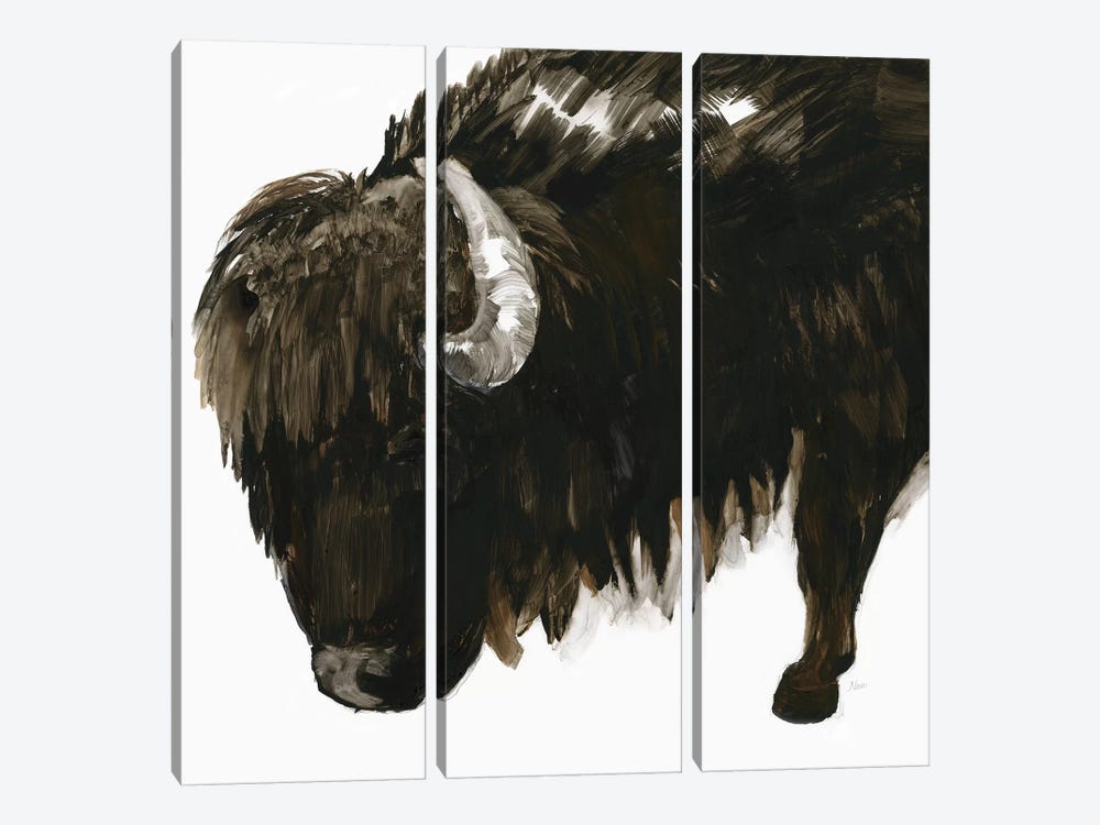 Bison Bull by Nan 3-piece Canvas Art Print