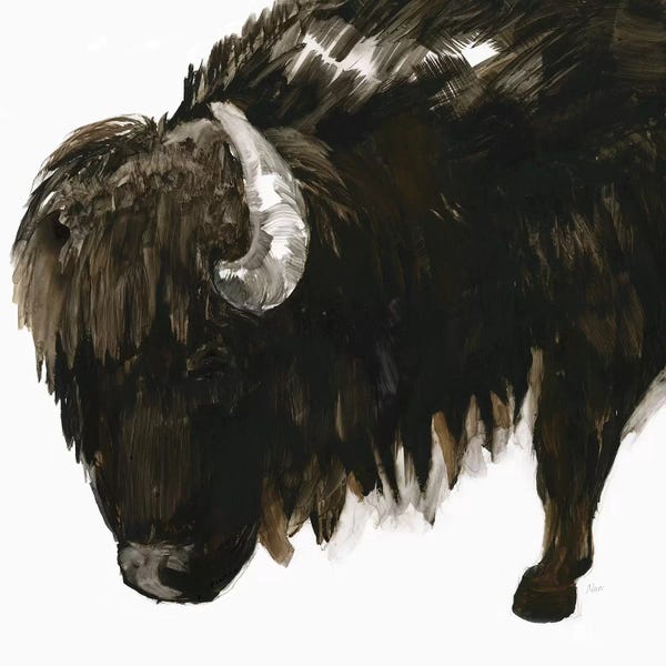 Bison & Buffaloes: Bison Bull by Nan