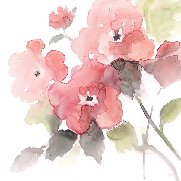 Nan: Coral Blush II by Nan