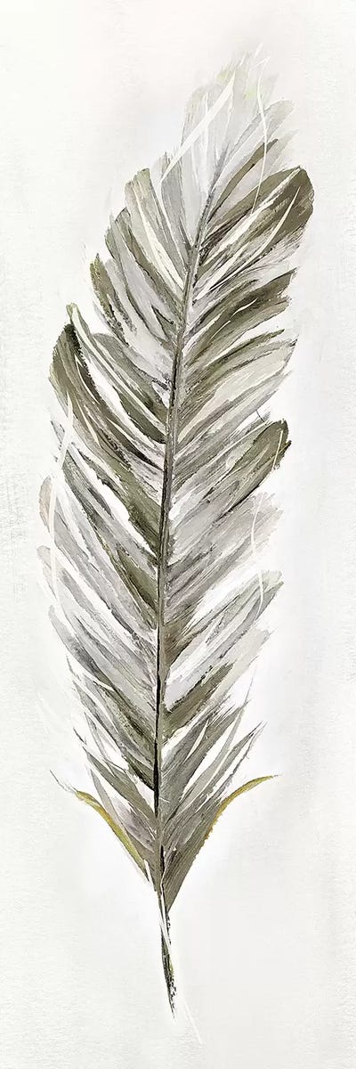 Plume Neutral I by Nan framed canvas print