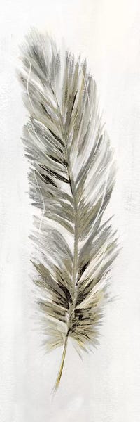 Feathers: Plume Neutral II by Nan