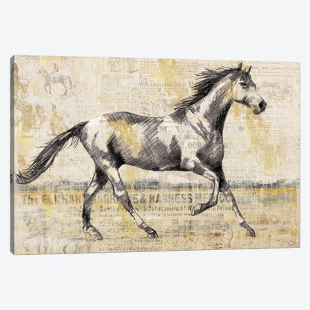 Golden Stallion I Canvas Print #NAN34} by Nan Canvas Print