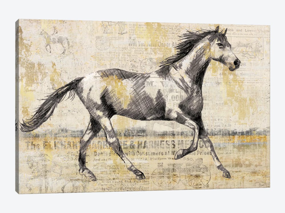 Golden Stallion I by Nan 1-piece Canvas Art Print